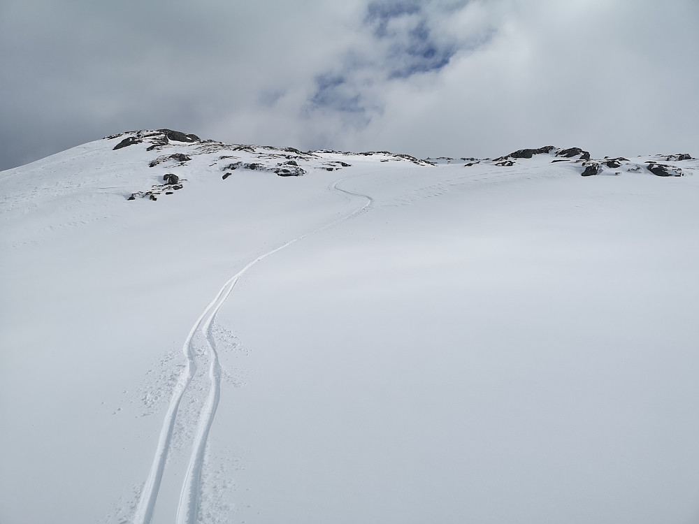 Flott og relativ tørr nysnø i øvre del