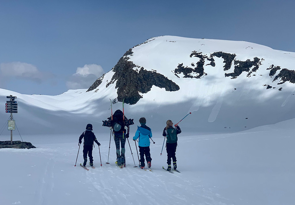 Mot Kjenndalen