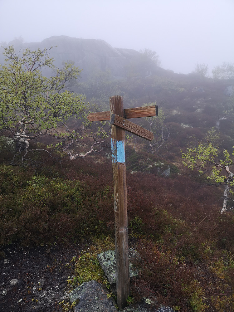 Stidele ned mot Hestdalen