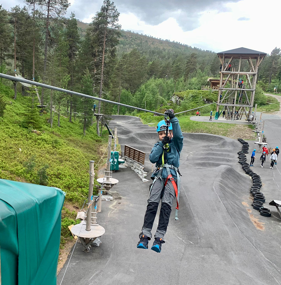 Vinjar i farta