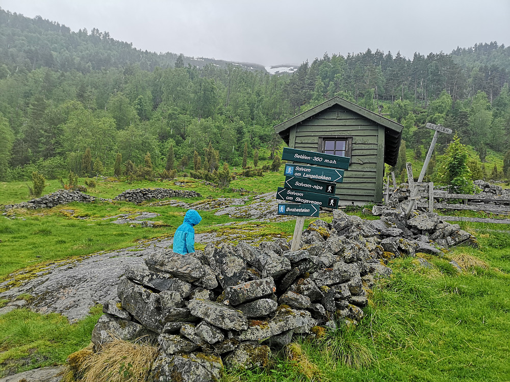 Setålen