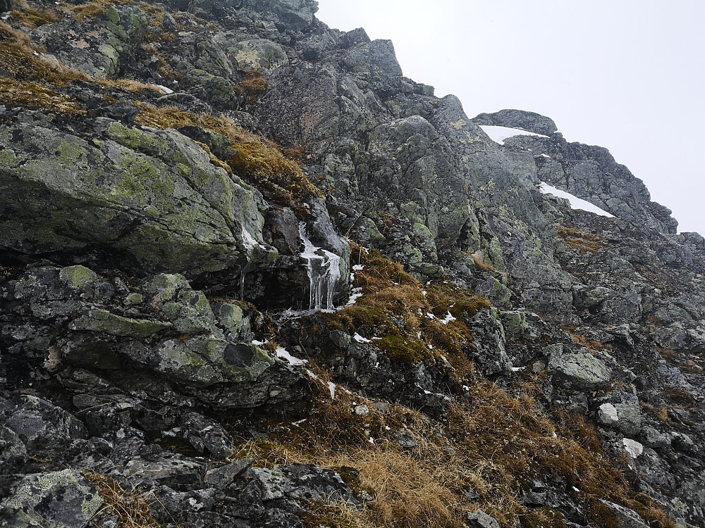 Is og spor av nattas nysnø