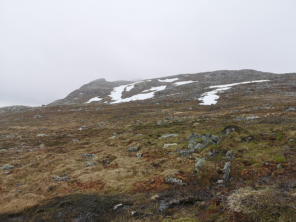 Tilbakeblikk mot Stølsnøse 
