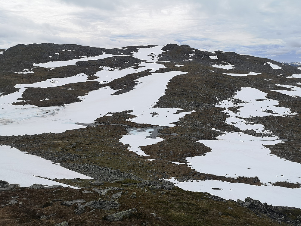 Mot Møsaryggene