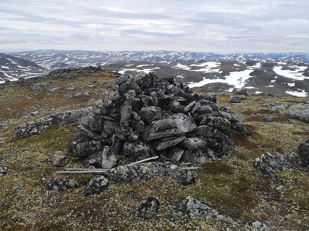 Skølten