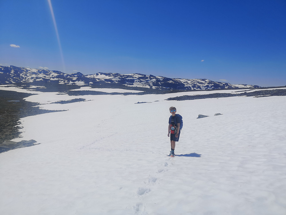 Vi har tatt av fra stien som går til Skjøld, og setter kursen mot Bergsfjellet