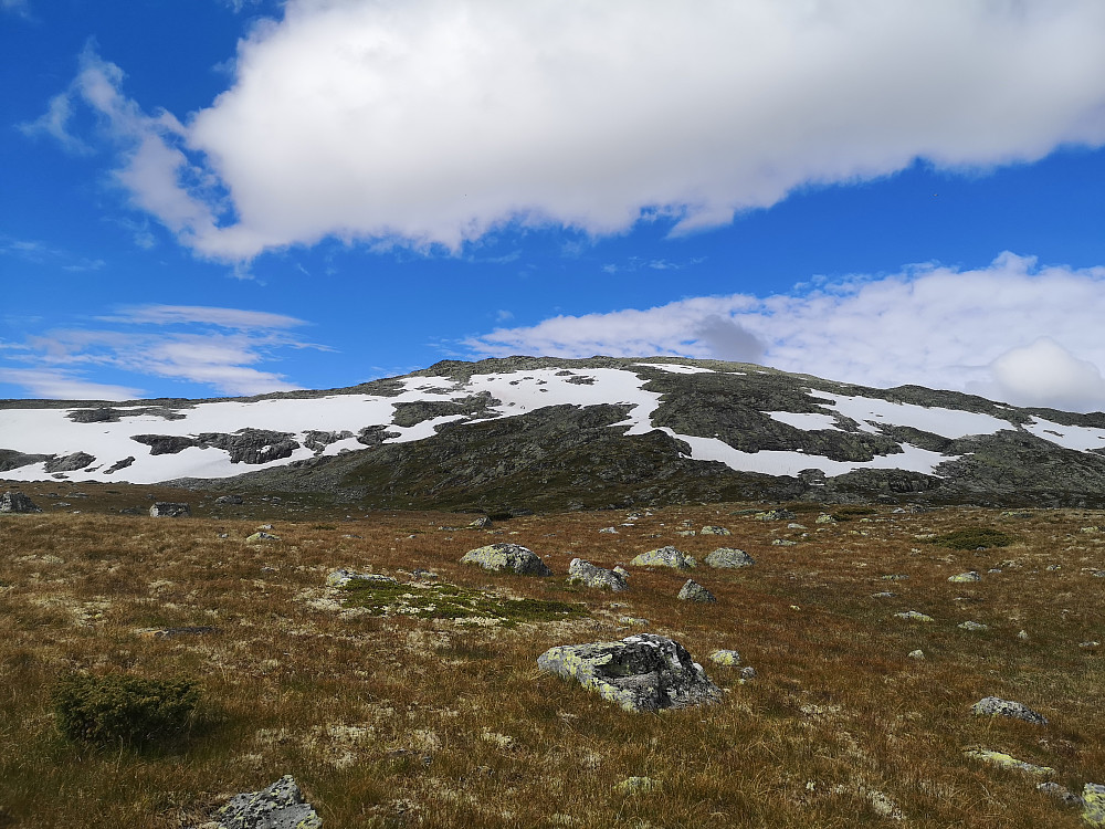 Mot Hestefjellet 