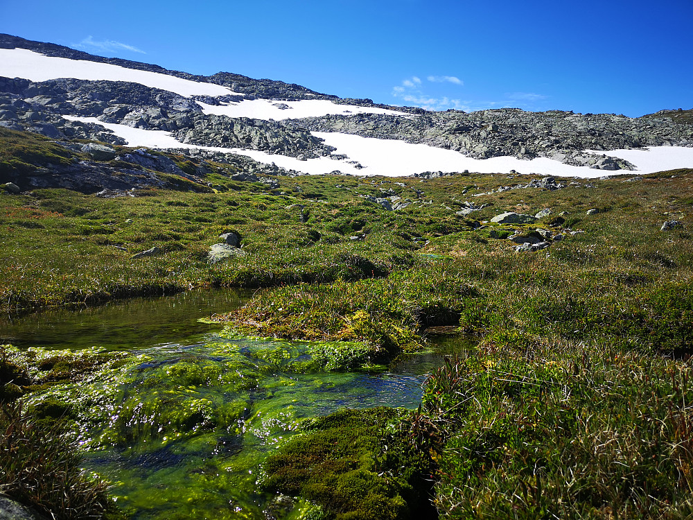 Hestefjellet 