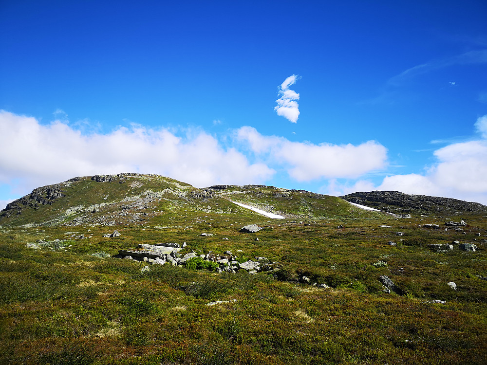 Mot Søtelifjellet 1436