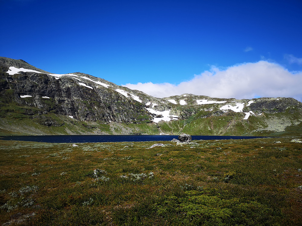 Søtelitjerne