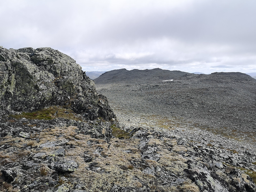 Ser siste toppen for dagen, Søtelifjellet 1595