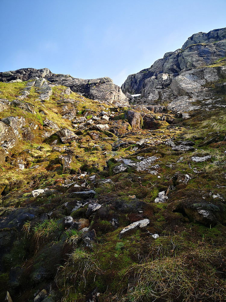 Gjørva 