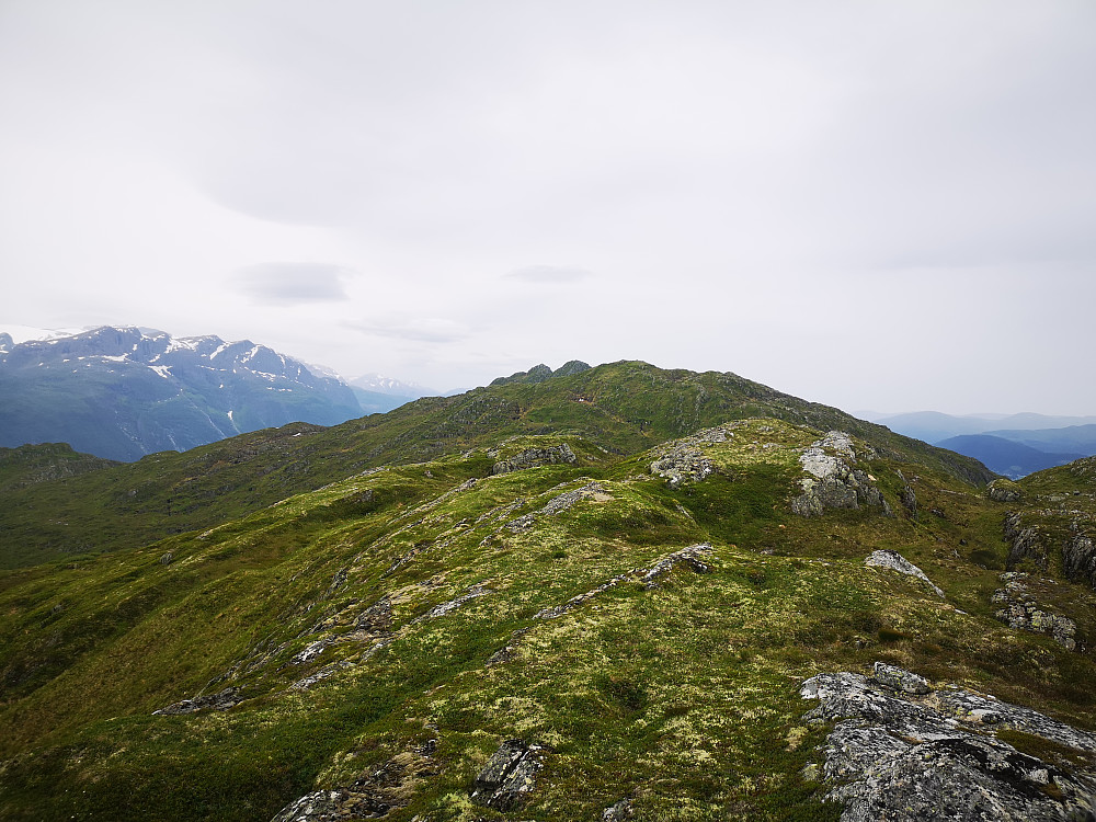 Fra Meskredholten mot Eggene og Svoradalsnibba 
