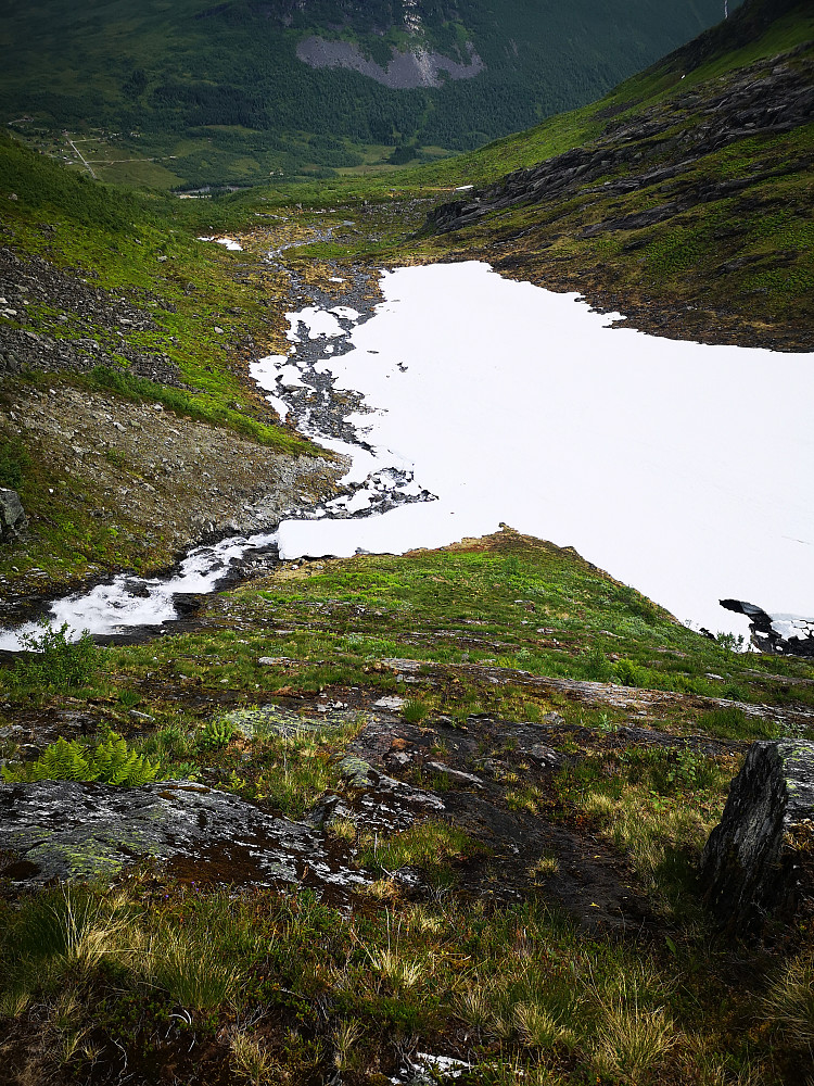 Det ble relativt glatt og vått ned i nedre del langs elva. Her glei jeg et par ganger og måtte oppover igjen og krysse elva lengre oppe