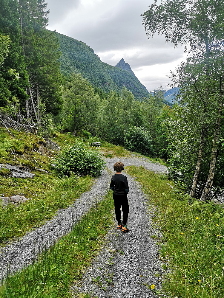 Ser flotte Straumshornet