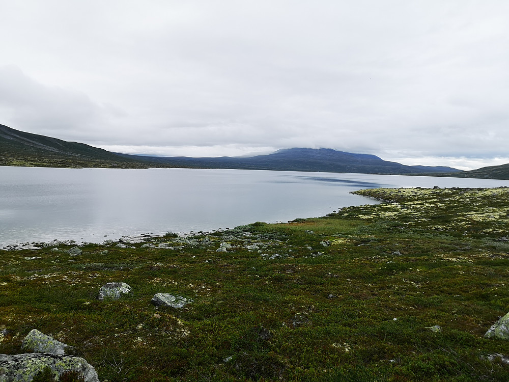 Aursjoen 