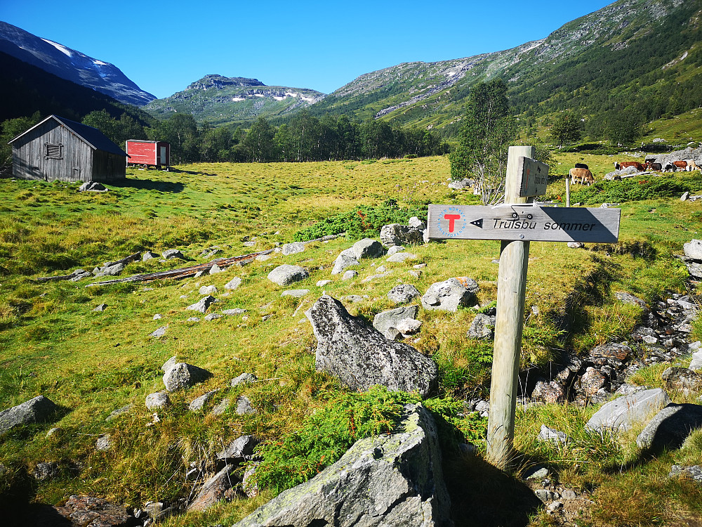 stistart fra Lundadalsseter