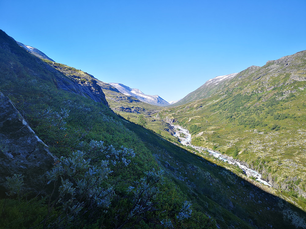  innover dalen 