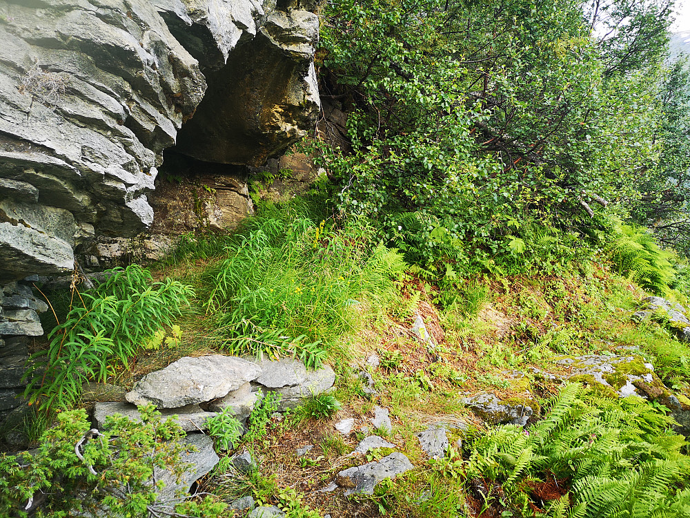 Etter nedpakking av teltet i Gomsdalen, bar det ca 400 seige hm oppover på veien tilbake mot Korsmyra. Kom over flere fine plasser man kan enten søke ly for været evt overnatte :-)