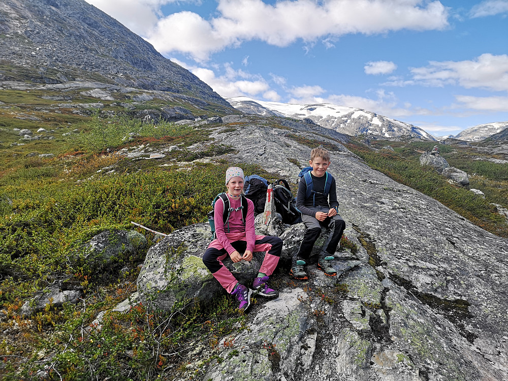 To flinke små