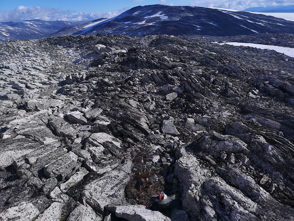 Mot Sekkebreen, det får bli skitur! 