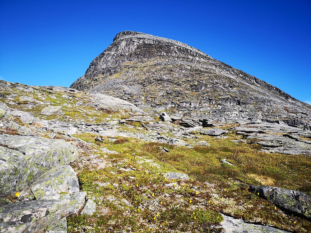 Neste topp i sikte -  Slettdalsfjellet 
