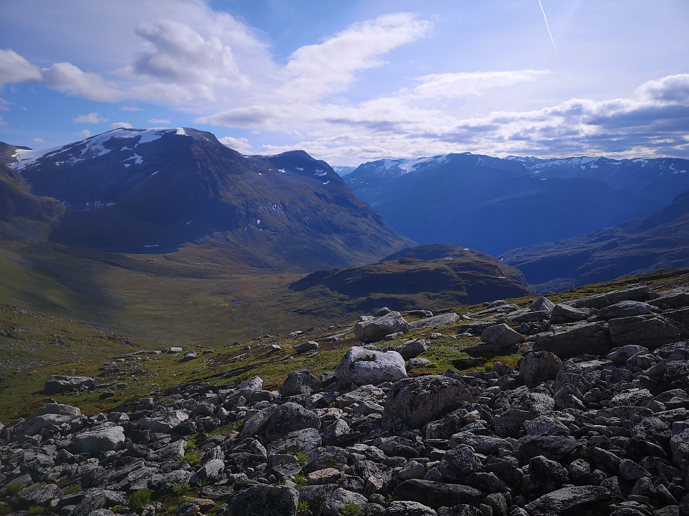 Hesjedalshaugen, Laushornet og Sætertverrfjellet