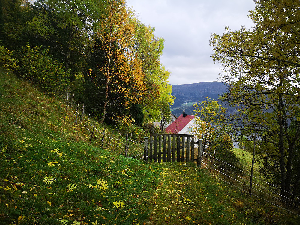 Ytre Åsane