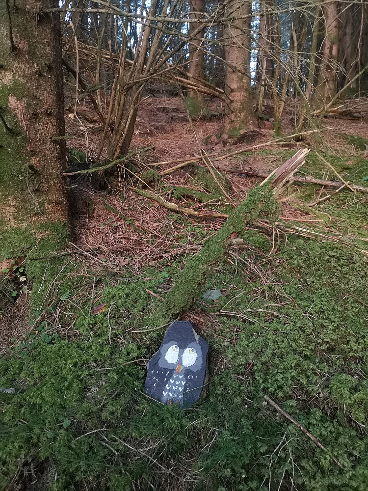 Teollsk gammal skog 