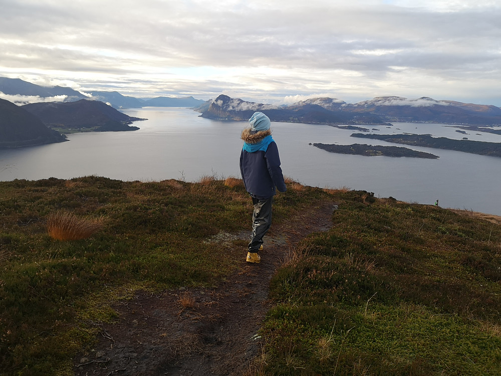 Flott skue mot  ytre