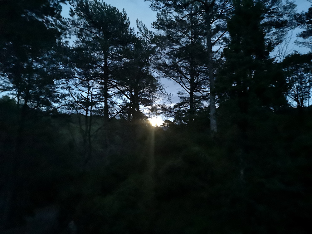Måneskinn fikk vi også :-) 