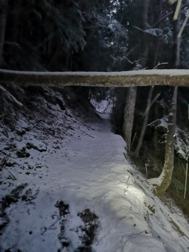 Litt vel konsentrert oppover siste bakken før indre, og med vindskjermen for å beskytte mot snøfallet, løp jeg rett på denne stokken som ligger over stien :-)