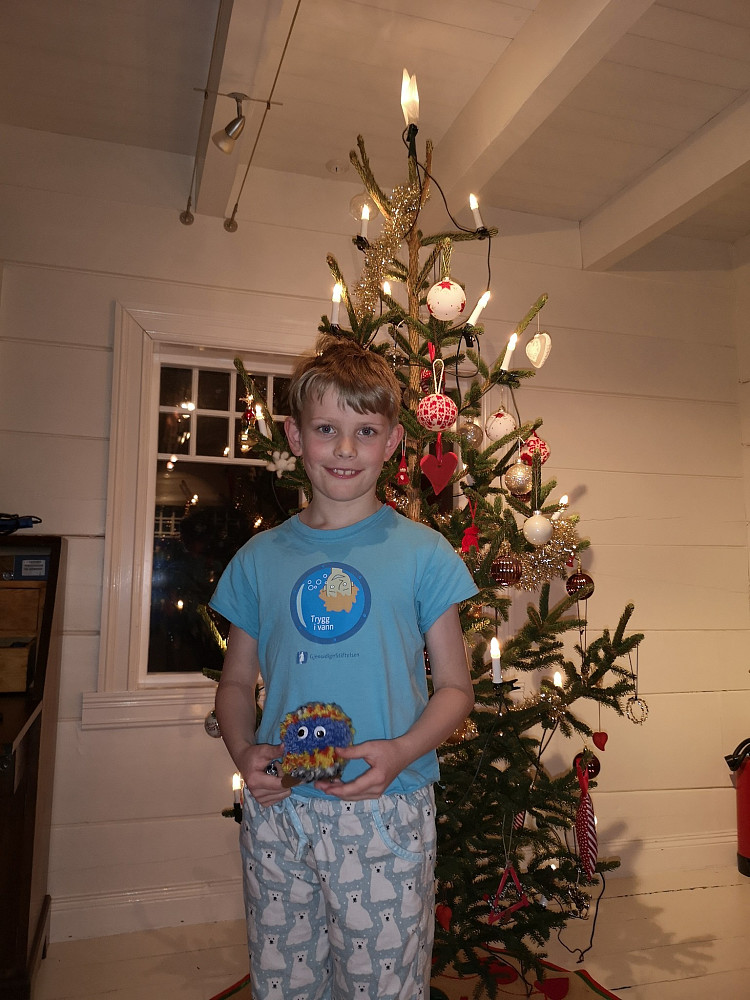 Juletrepynting