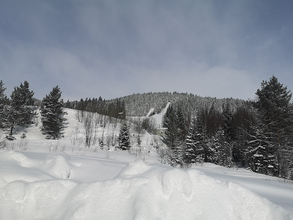 Vangen