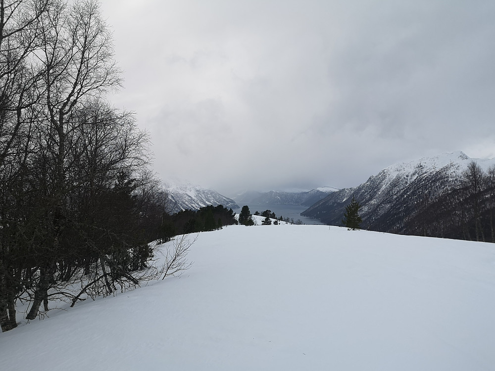 Mistelhaugen