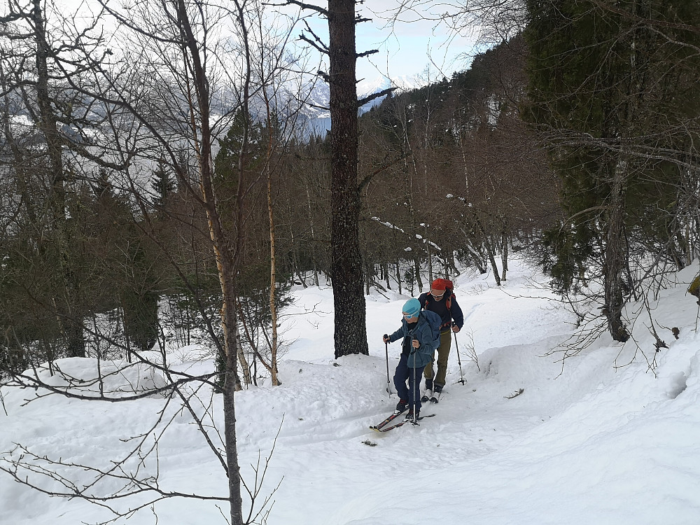 Fra Lotsberg opp til Lotsbergstøylen