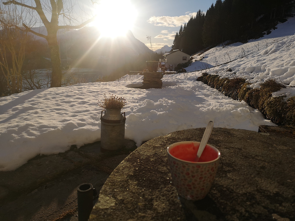 En velfortjent bær og fruktsmoothie etter endt dag