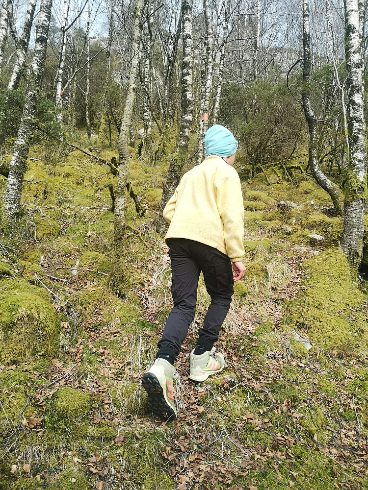Godt driv oppover