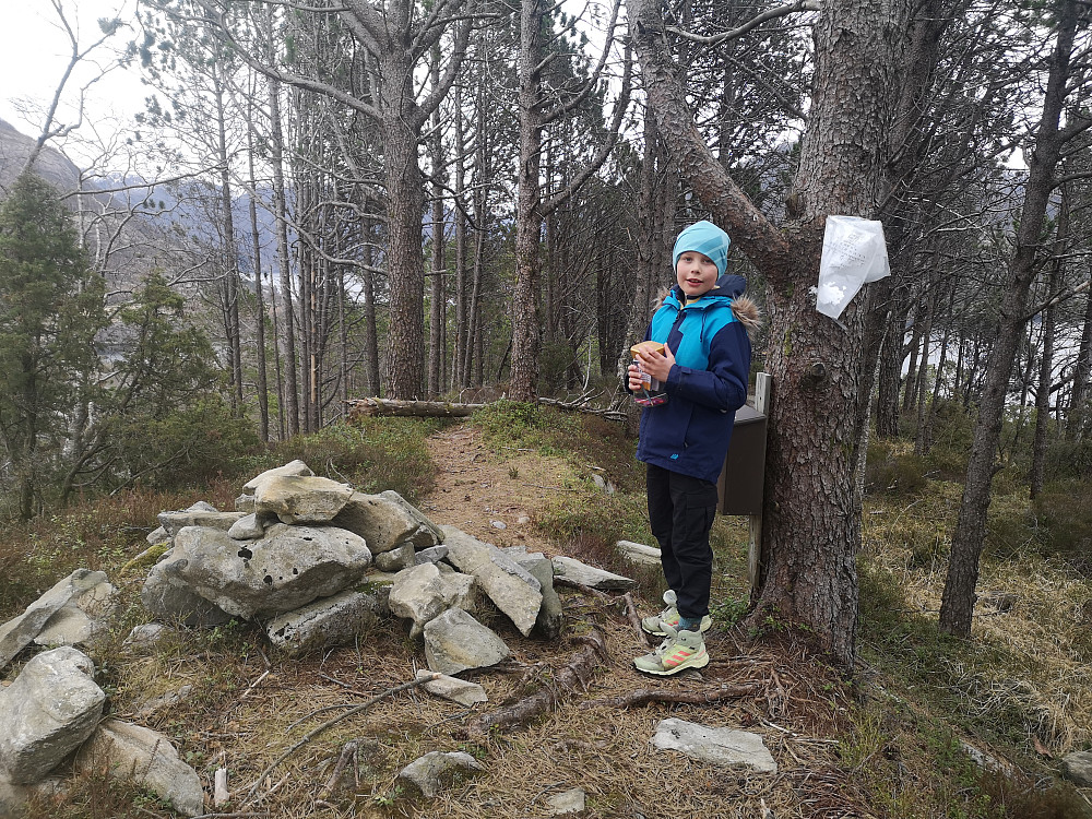 Toppen med trimbok