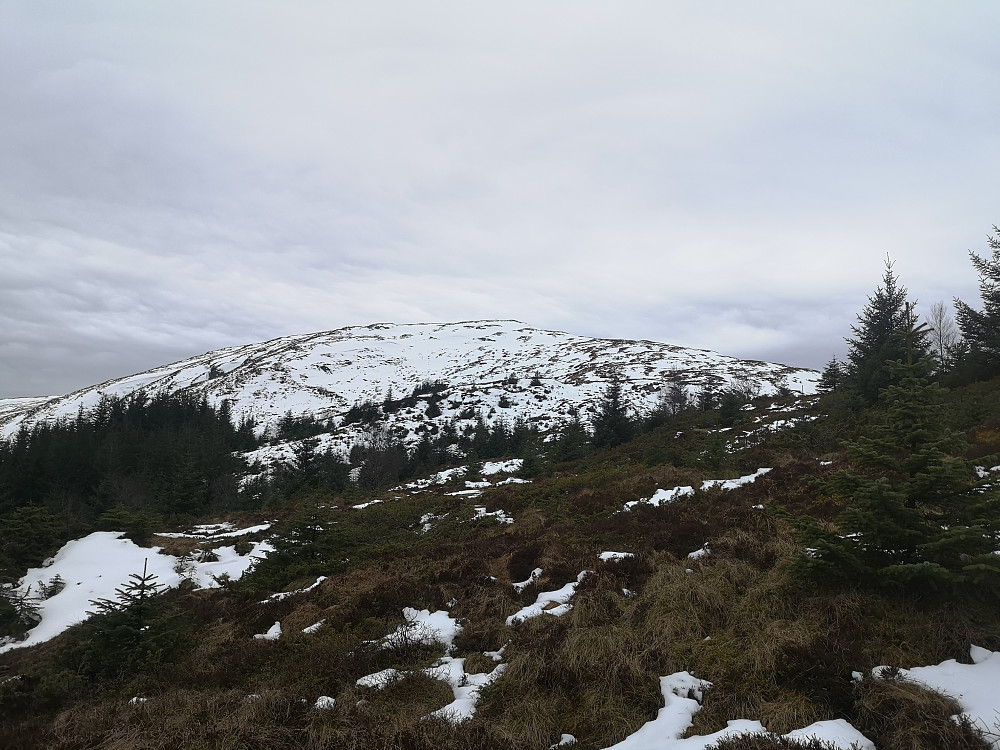 Mot Dalsfjellet/Slengesolfjellet