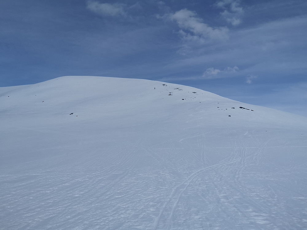 Flott snø å svinge ned i med fjellski