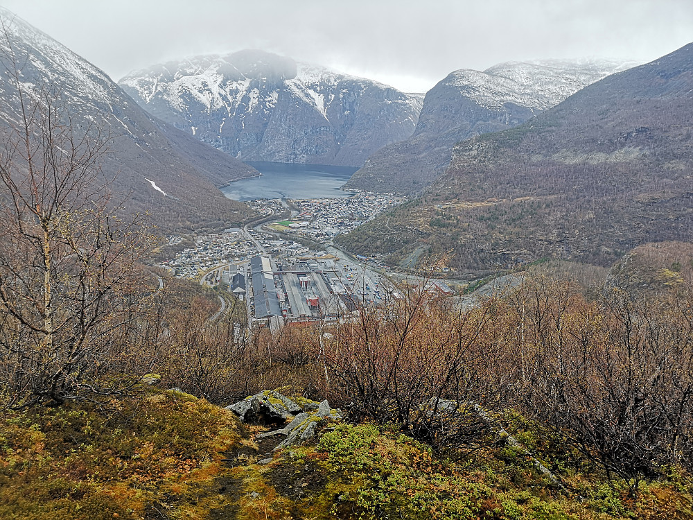 Fugleåsen utsikt