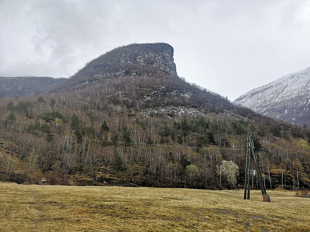 Fugleåsen 