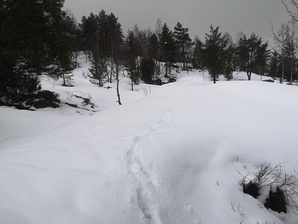 Ennå mye snø, mye nysnø fra siste dagene, ved Lotsbergstøylen 