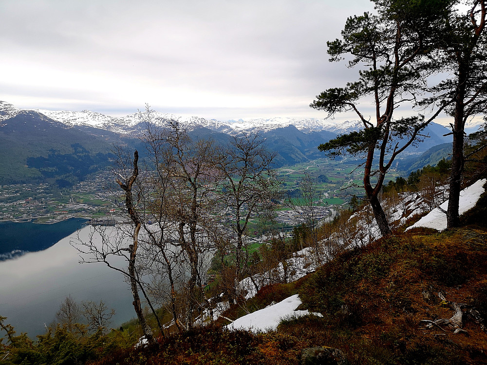 framferd