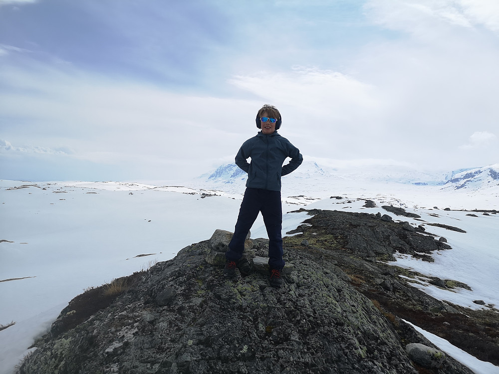 Vinjar på Gurostølfjellet