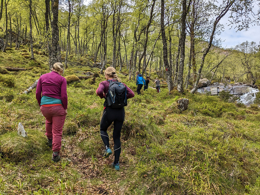 Av gårde mot sjuerhylla 