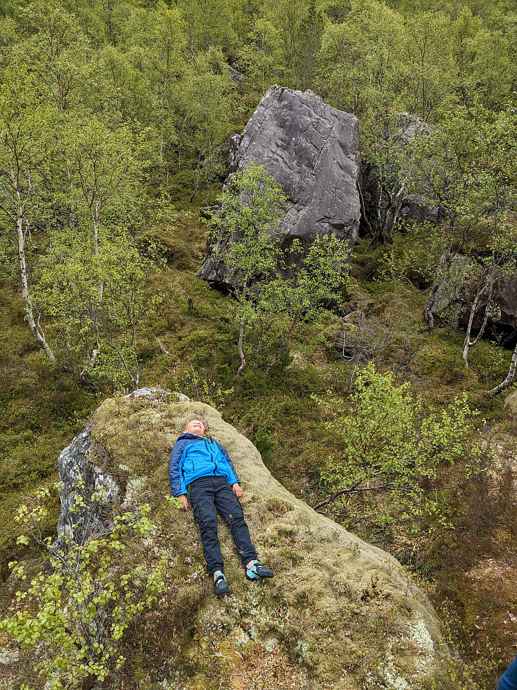 Deilig seng av mose