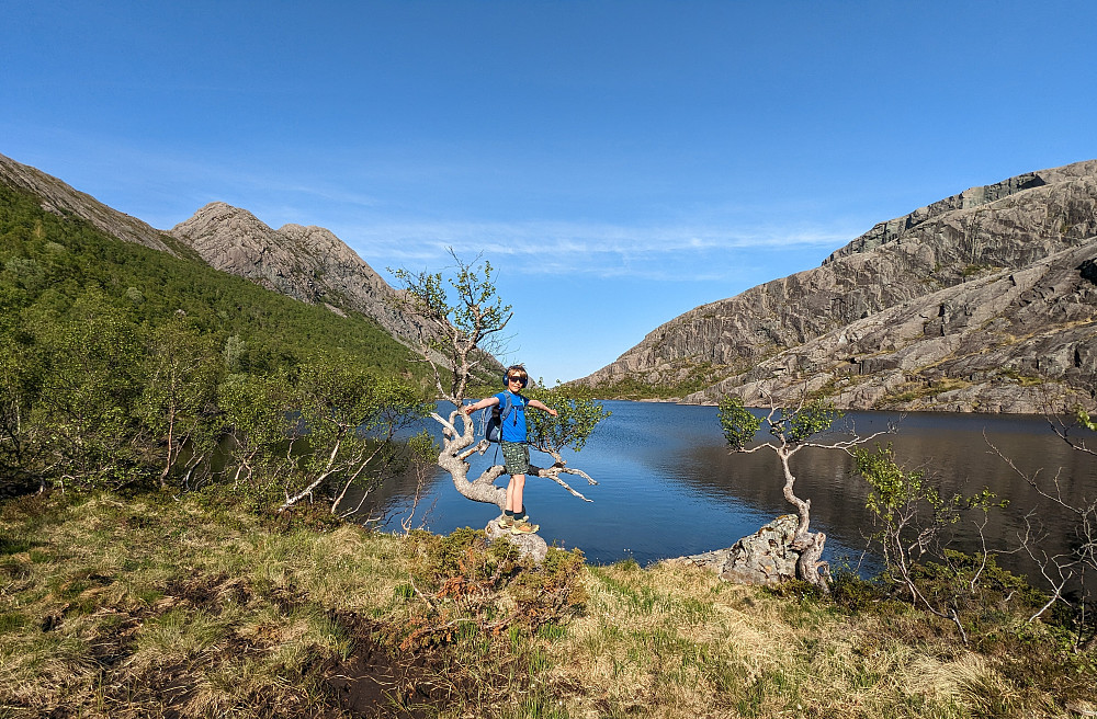Ved Fessevatnet 