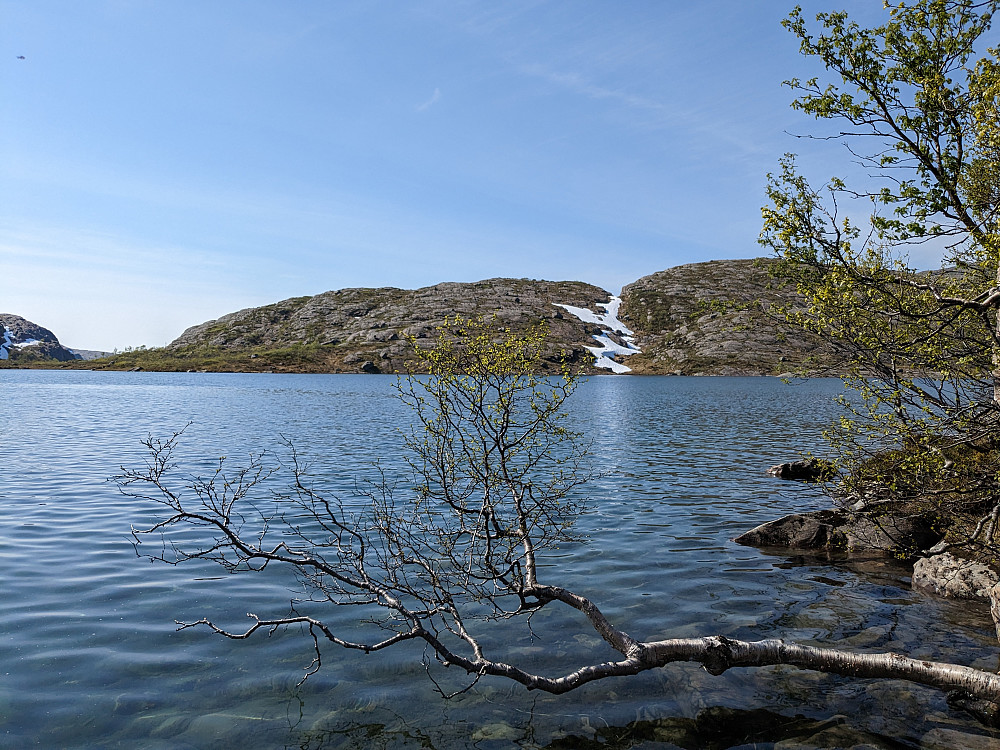 Firarvatnet